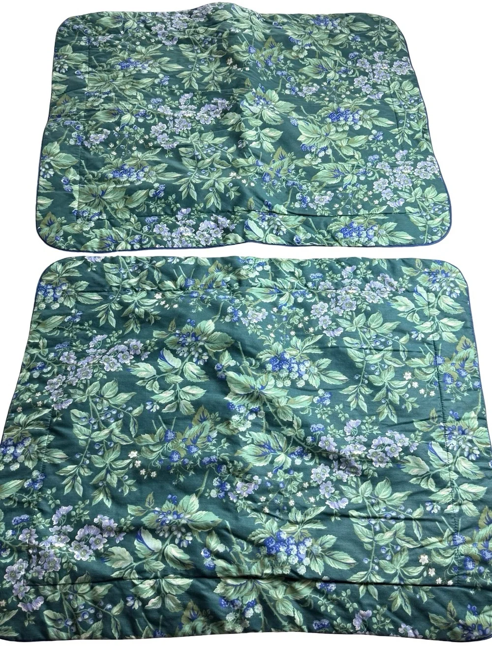 Laura Ashley Shams Bramble Berry Pillow Shams Quilted StandardGreen Floral Vtg